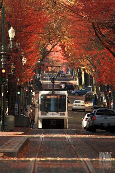 a bus is driving down the street in front of some trees with red leaves on it