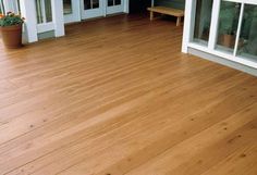 a wooden floor with white doors and windows in the back ground, next to a potted plant