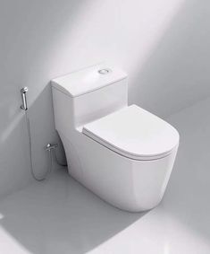 a white toilet sitting in the corner of a room next to a wall mounted shower head