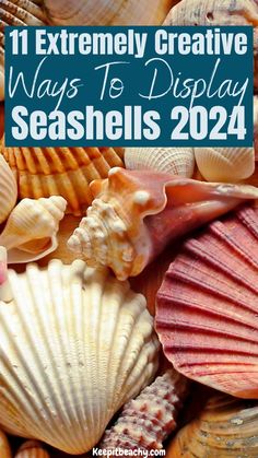 seashells with text overlay that reads 11 extremely creative ways to display seashells