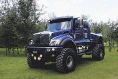 a large blue truck parked on top of a lush green field with trees in the background