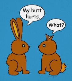 Funny Easter Images, Easter Meme, Funny Easter Pictures, Easter Images Free, Work Puns, English Door, Easter Bunny Cartoon, Happy Easter Funny, Craft Spring