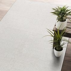 two potted plants sit on top of a white rug