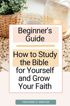 the beginner's guide to study the bible for yourself and grow your faith