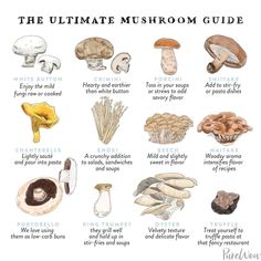 the ultimate mushroom guide for beginners to learn how to grow mushrooms and eat them