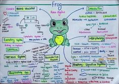 a frog is sitting on top of a whiteboard with words and pictures in it