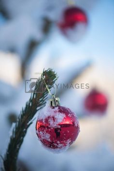 a christmas ornament hanging from a tree branch in the snow with other ornaments