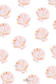 pink and white shells on a white background with the words,'i am not sure what