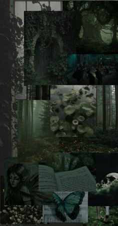 a collage of images with an image of a forest