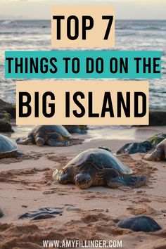 Here are the 7 best things to do on the Big Island. This list of the best things to do in Hawaii has the best things to do in Kona, best things to do in Hilo, and even best things to do in Volcanoes National Park. If you're planning a Big Island vacation or Hawaii vacation, make sure to save these Hawaii travel tips. Big Island vacation tips, Big Island activities, things to do on the Big Island of Hawaii Best Things To Do On The Big Island, Things To Do In Hawaii Big Island, Big Island Bucket List, Best Restaurants Big Island Hawaii, Family Trip To Hawaii, Hawaii Big Island Things To Do, Things To Do On The Big Island Of Hawaii