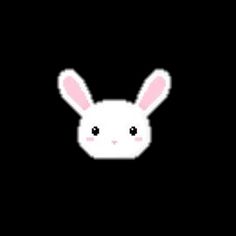 an animated white bunny rabbit face on a black background