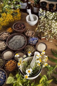 Apothecary Vibes, Herbalist Shop, Spices Photography, Medicinal Herbs Garden, Puzzle Collection, Herbal Apothecary, Healing Plants, Flowers Petals, Witch Aesthetic