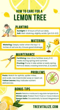 the benefits of lemon water info