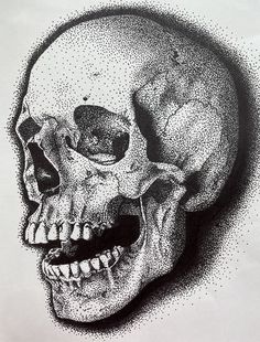 a black and white drawing of a human skull