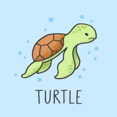 a drawing of a turtle with the word turtle on it's back and bottom half