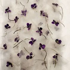 some purple flowers are on the white fabric