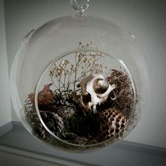 a glass bowl filled with lots of different types of plants and animals skull in it