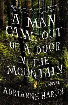 a book cover for a man came out of a door in the mountain by adrianine harun