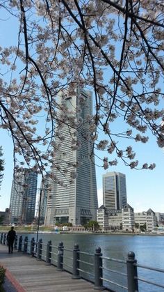 the tall building is next to the water and trees with blossoming branches in bloom