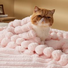 a cat sitting on top of a pile of pink fluffy blankets in a room with a clock