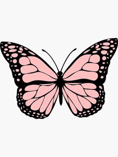 a pink butterfly on a white background