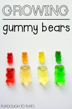 the gummy bears are lined up in different colors and sizes, with text reading growing gummy bears