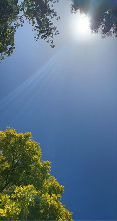 the sun shines brightly through the trees on a sunny day in this photo taken from below