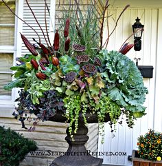 a vase filled with lots of different types of flowers and plants next to a house