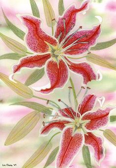 two red flowers with green leaves on them