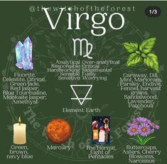 the virgom zodiac sign is shown in this graphic, with all its main symbols