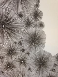 an artistic drawing of many large dandelions in black and white, on a wall