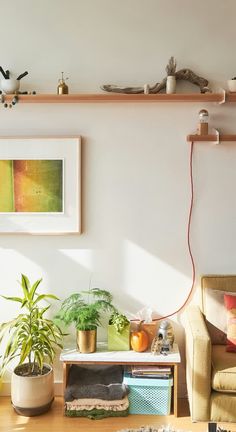 a living room filled with lots of furniture and plants on top of shelves next to a couch