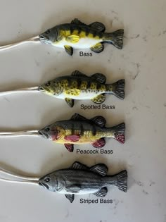 Fish Soap on a Rope Realistic Hand Painted Fun Gift for Outdoorsmen, Fisherman, Adults Kids - Etsy Fishing Party Favors, Zest Soap, Fish Soap, Peacock Bass, Soap Design, Shaved Hair Cuts, Clove Leaf, Soap On A Rope, Unique Soap