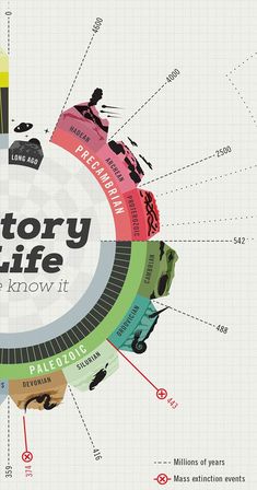 Business roadmap infographic. Unique vector Time Infographic, Timeline Graphic, David Martinez, Cv Inspiration, Data Visualization Design