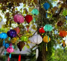 many colorful lanterns hanging from a tree