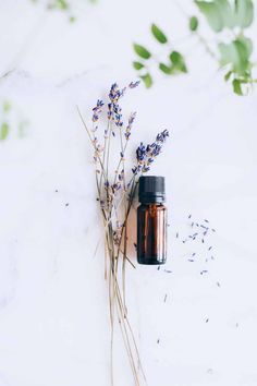 The Best Essential Oils for Inflammation + How to Use Them | Hello Glow Lavender Oil Uses, Essential Oils For Inflammation, Lavender Linen Spray, Soya Mumu, Hello Glow, Face Scrub Homemade, Cleaning Recipes, Best Essential Oils, Oil Uses