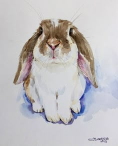 a watercolor painting of a rabbit sitting in front of a white wall and looking at the camera