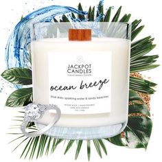 an ocean breeze candle surrounded by tropical leaves