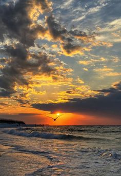 the sun is setting over the ocean with clouds in the sky and birds flying above