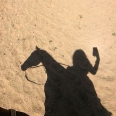 the shadow of a person on a horse