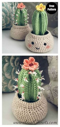 crocheted cactus pot holders with flowers on them are shown in three different views