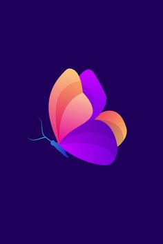 a colorful butterfly on a purple background