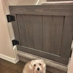 a small white dog sitting in front of a door