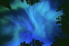 an aurora bore in the night sky with stars and clouds above it, as well as trees