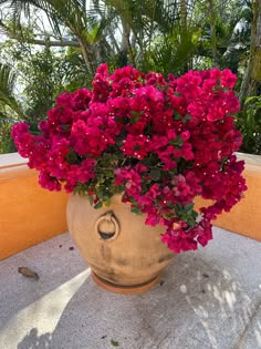 a large potted plant with pink flowers in it