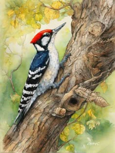 a painting of a woodpecker perched on a tree branch with leaves in the background