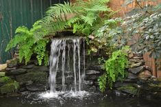 a small waterfall in the middle of a pond surrounded by green plants and rocks with water cascading over it