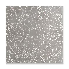 Mother of Pearl Terrazzo Tile: 8” x 8” LiLI tile Mother Of Pearl Tile, Black Terrazzo, Cement Tile Shop, Beam Of Light, Pearl Tile, Tiles For Bathroom, Terrazzo Tile, Terrazzo Tiles, Encaustic Cement Tile