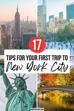 new york city with the statue of liberty in the foreground and text overlay that reads 17 tips for your first trip to new york city