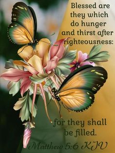 two butterflies on top of flowers with a bible verse in the background and an image of a